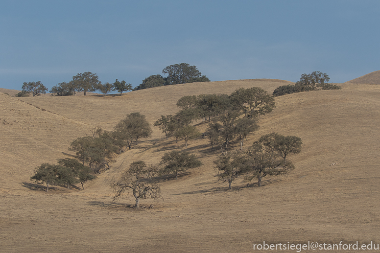 pinnacles